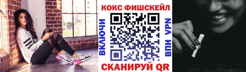 COCAIN FishScale  Купить закладки  Яранск 