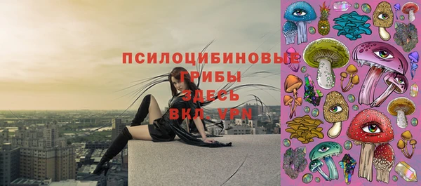 прущая мука Саяногорск