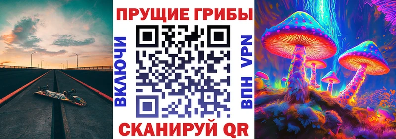 Псилоцибиновые грибы Psilocybe  Купить где  Яранск 